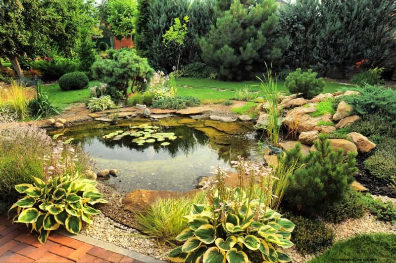 How To Build A Pond In Sandy Soil