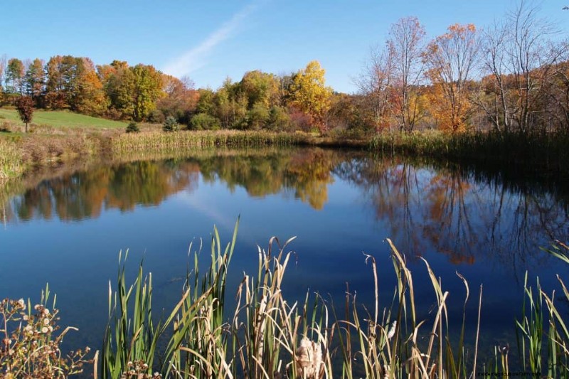 How To Build A Pond In Sandy Soil