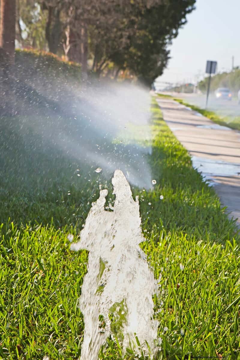How To Mark Sprinkler Heads And Lines