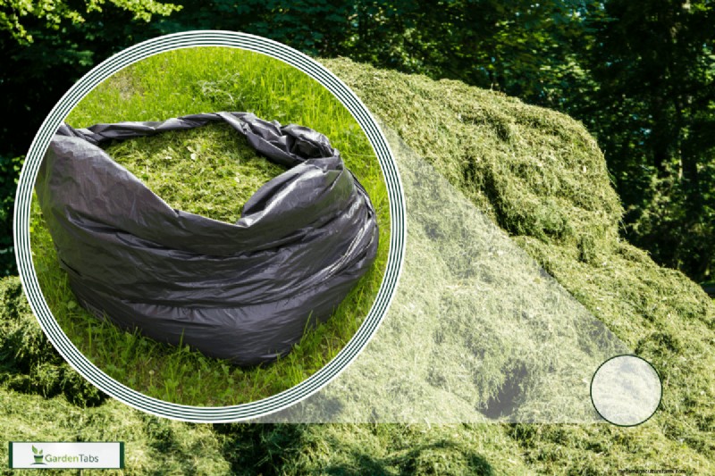 Should You Bag Grass Clippings After Overseeding?