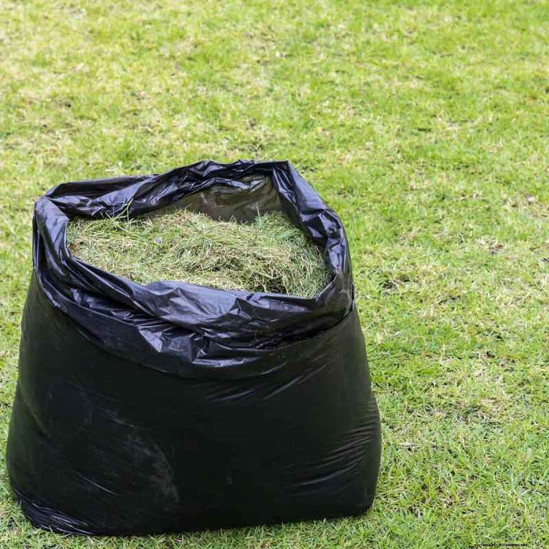 Should You Bag Grass Clippings After Overseeding?