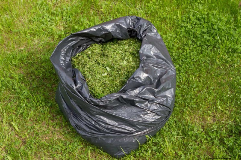 Should You Bag Grass Clippings After Overseeding?