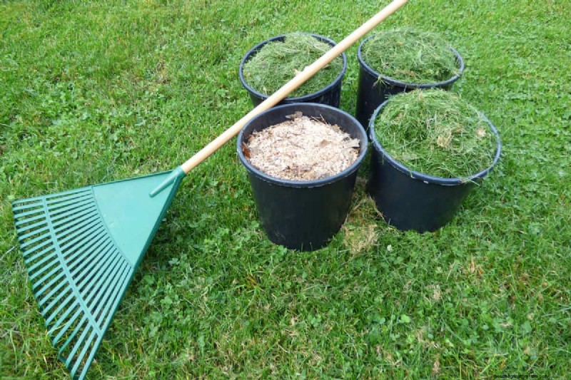 Should You Bag Grass Clippings After Overseeding?