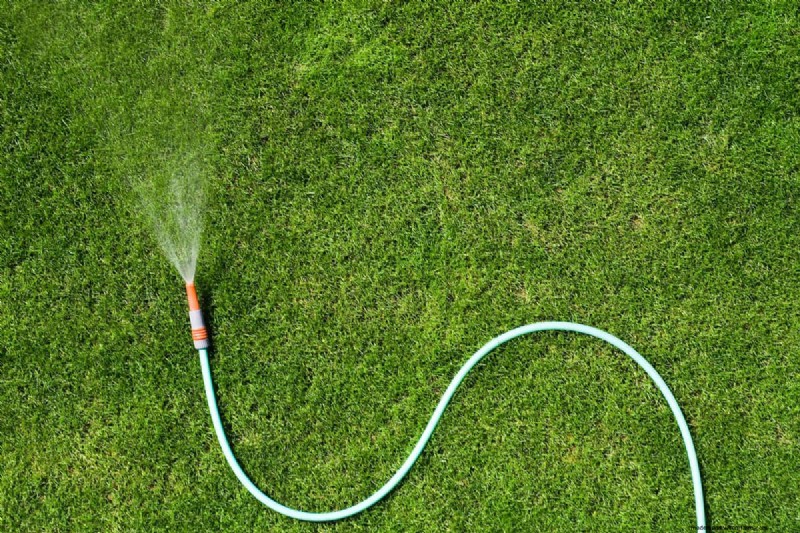 Should You Bag Grass Clippings After Overseeding?