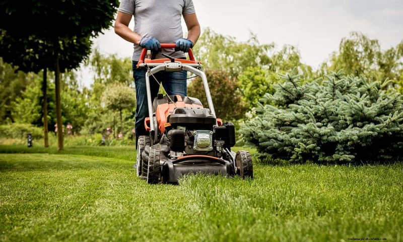 Why Are Lawn Mowers So Loud?