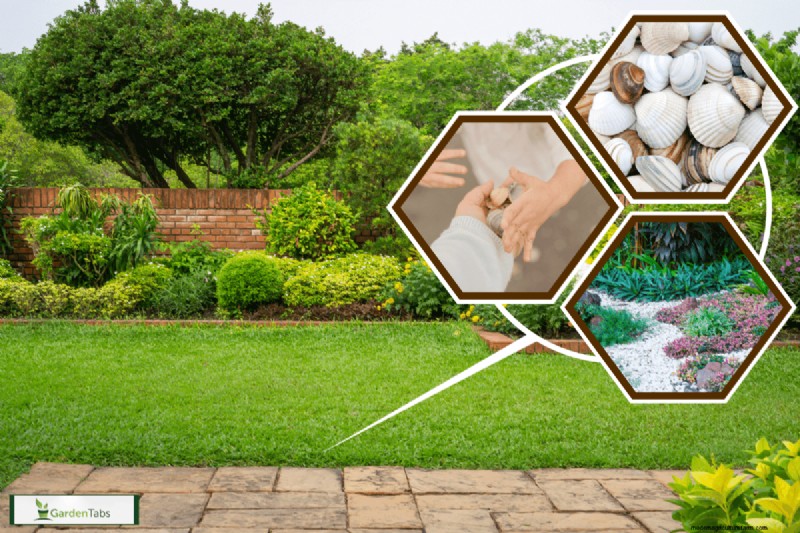 Why Are There Seashells In My Backyard?