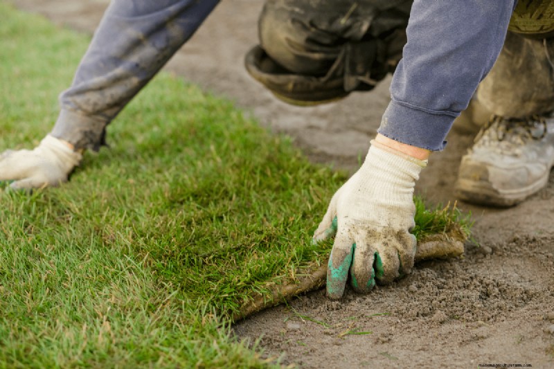 When To Remove Netting From New Grass