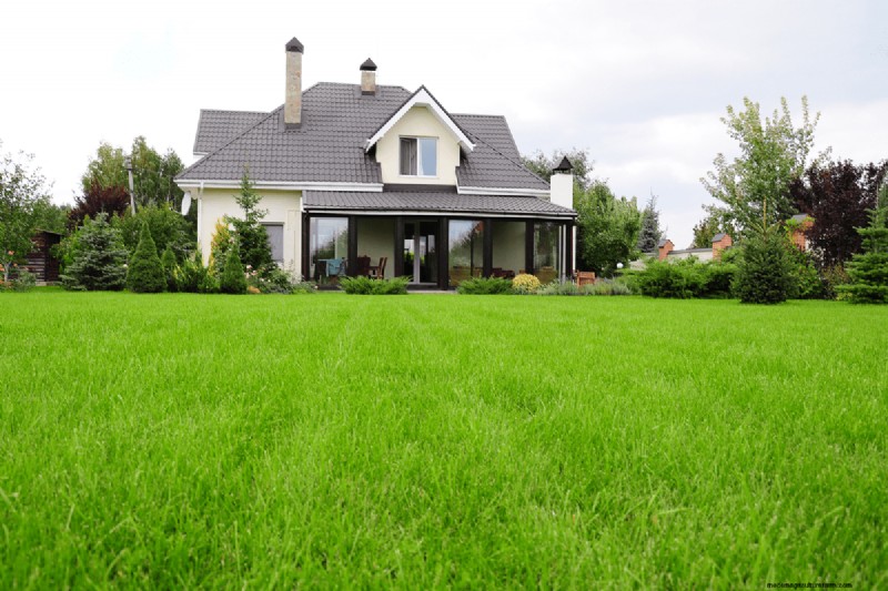 When To Remove Netting From New Grass