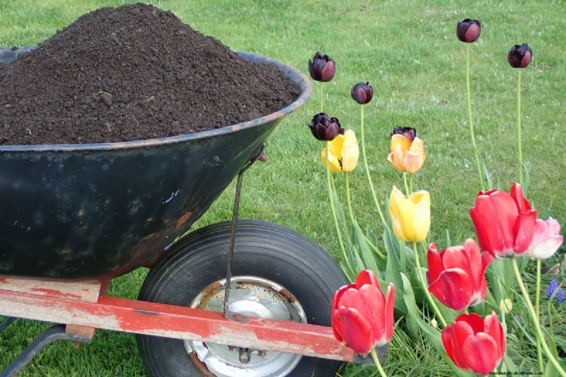 Can You Spread Topsoil With A Spreader?