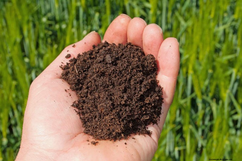 Can You Spread Topsoil With A Spreader?