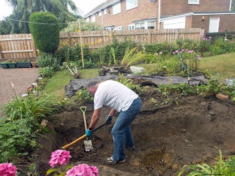 How Many Koi In A 1,000 Gallon Pond?