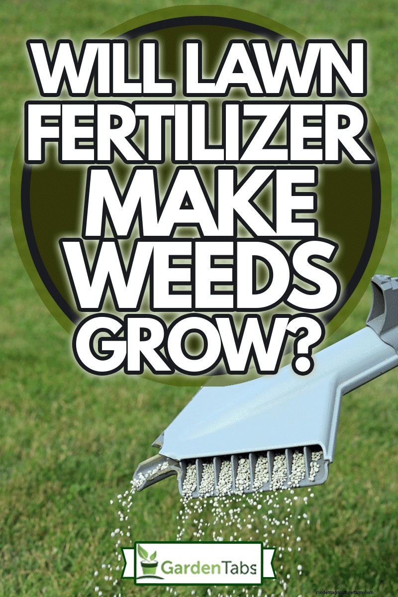 Will Lawn Fertilizer Make Weeds Grow?