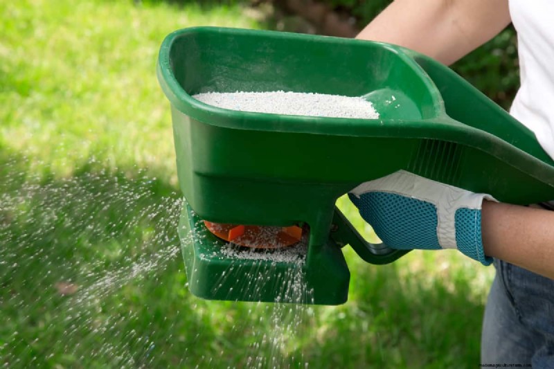 Will Lawn Fertilizer Make Weeds Grow?
