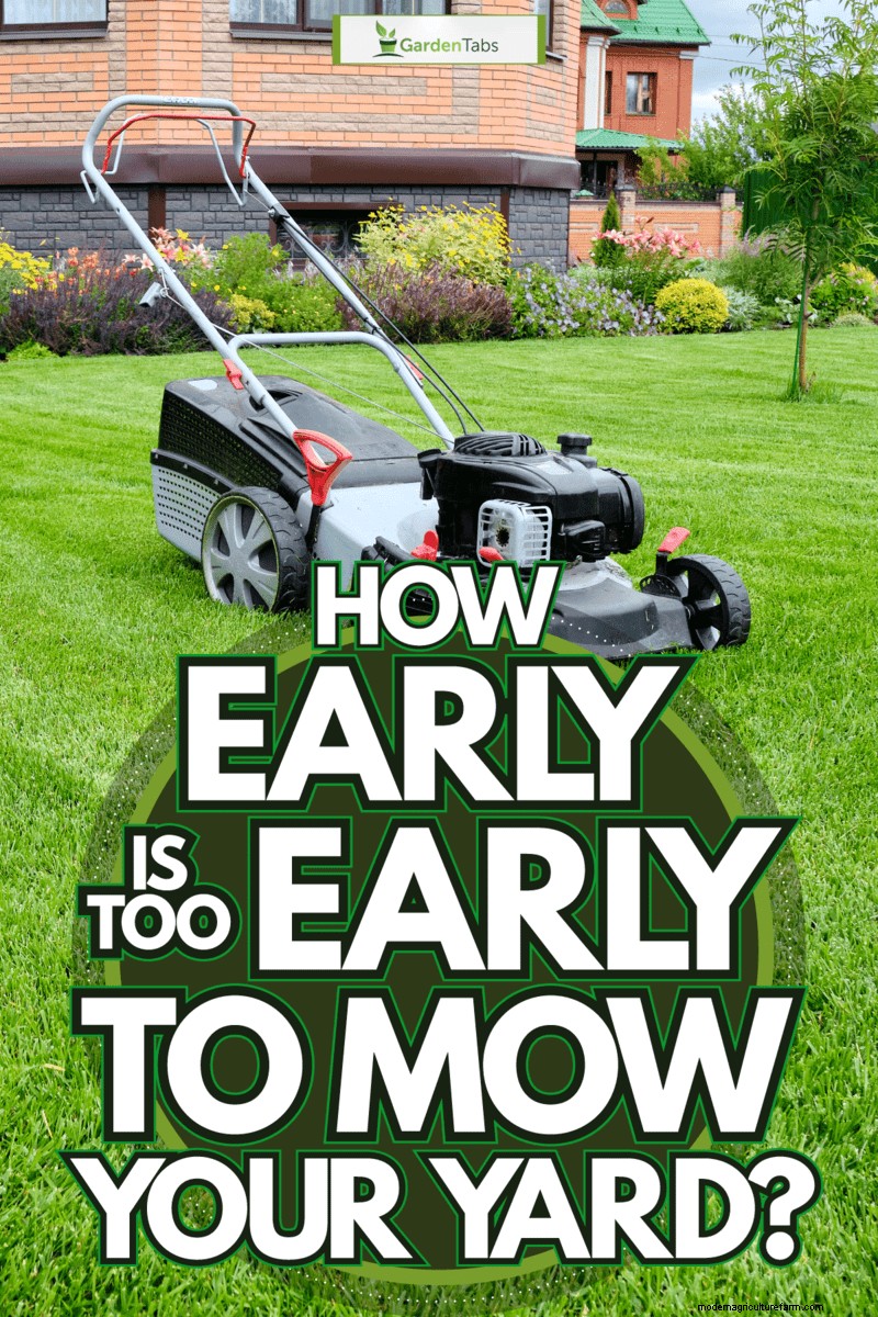 How Early Is Too Early To Mow Your Yard?