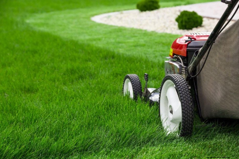 How Early Is Too Early To Mow Your Yard?