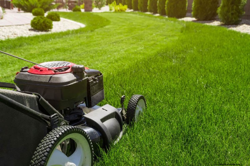 How Early Is Too Early To Mow Your Yard?