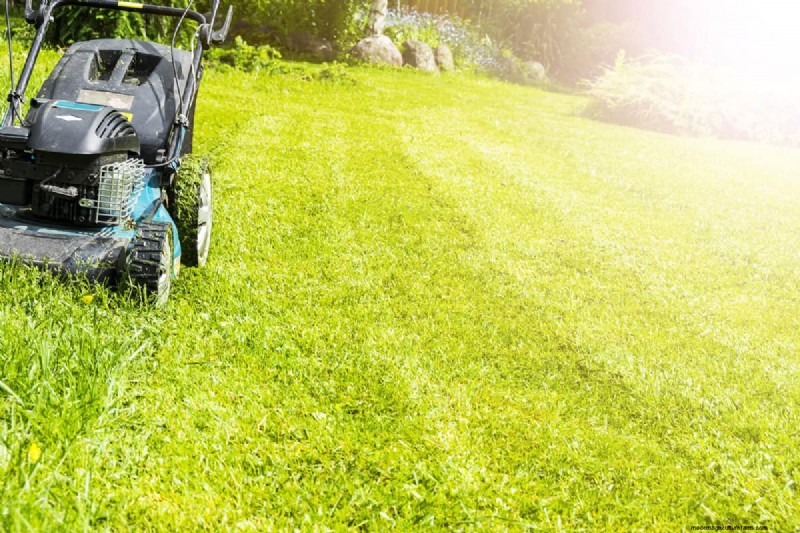 How Early Is Too Early To Mow Your Yard?