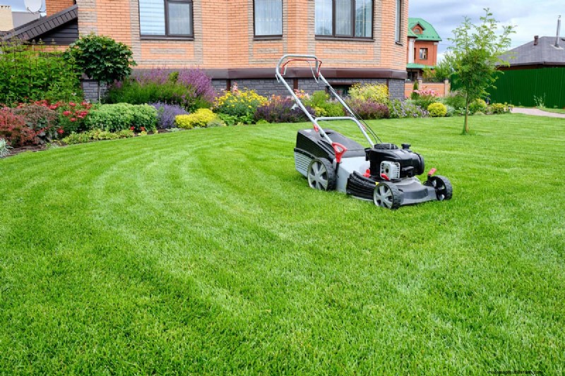 How Early Is Too Early To Mow Your Yard?
