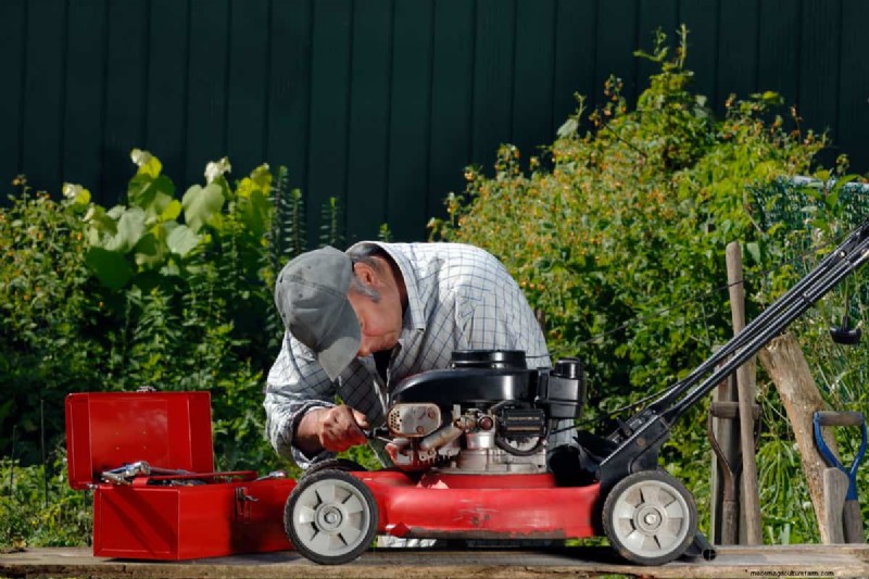 Craftsman Vs Honda Vs Toro Lawn Mower: Which To Choose?