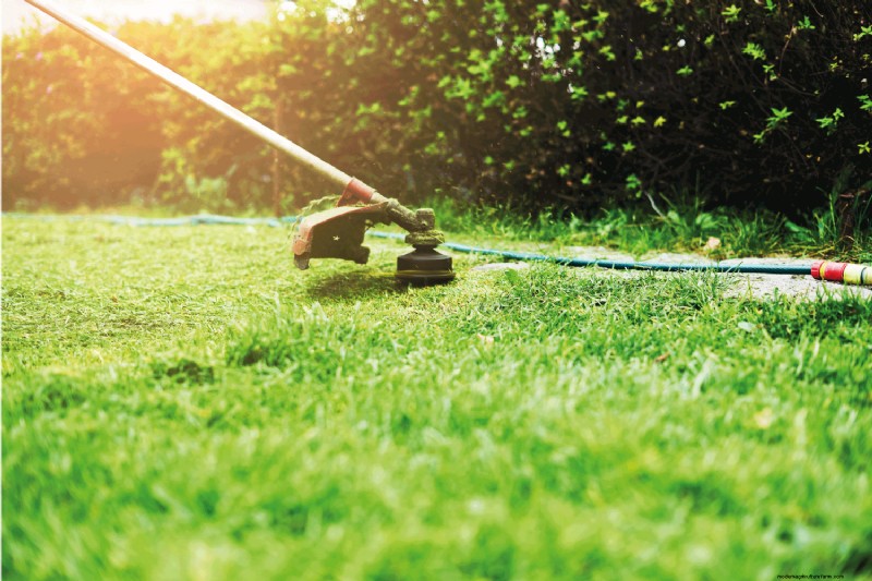 5 Best Lawn Mower and Weed Eater Combos