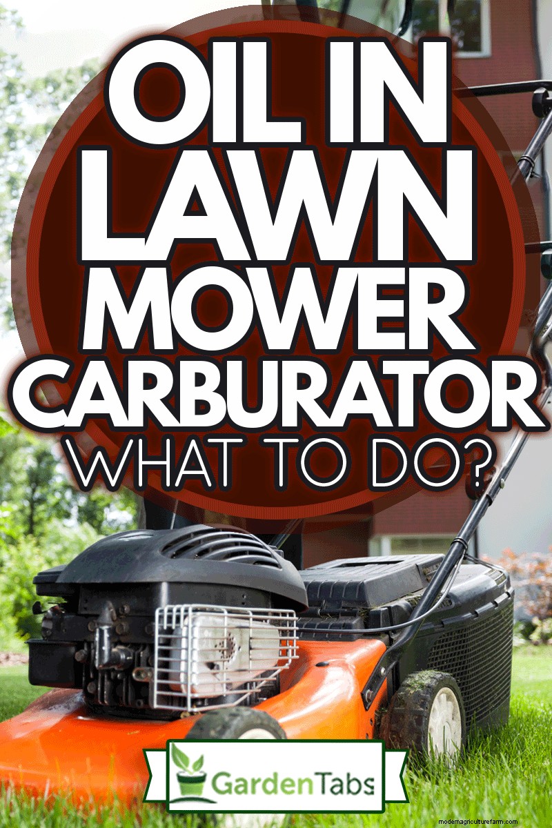 Oil In Lawn Mower Carburetor – What To Do?