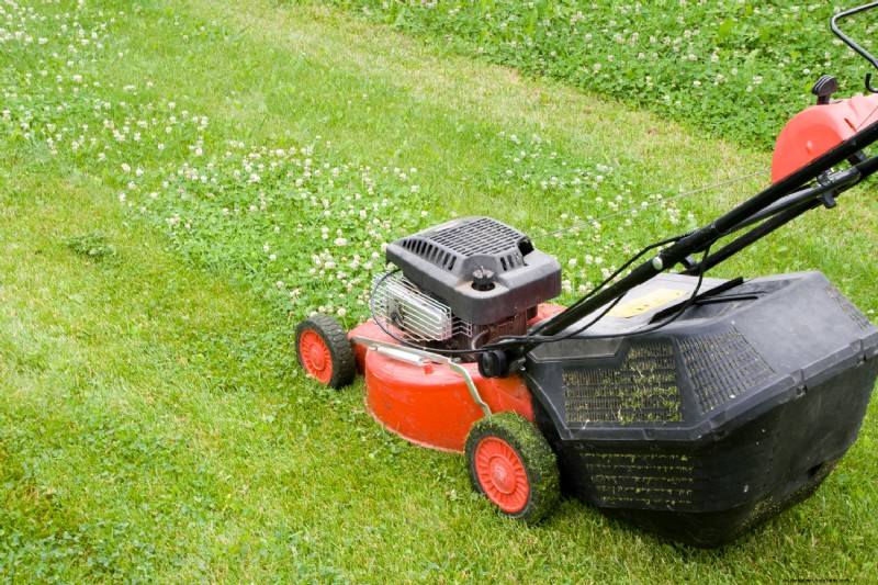 Oil In Lawn Mower Carburetor – What To Do?