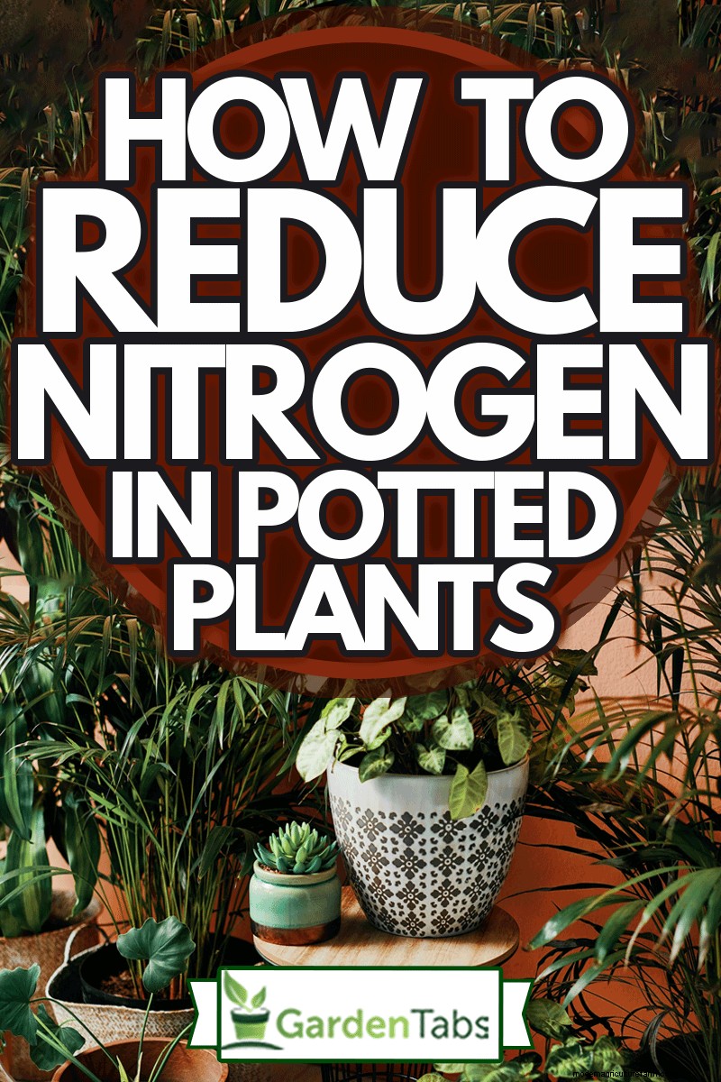 How To Reduce Nitrogen In Potted Plants