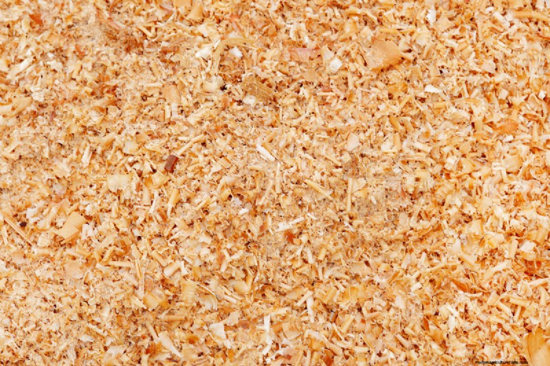 Does Cedar Mulch Repel Bugs? How Effective Is It?