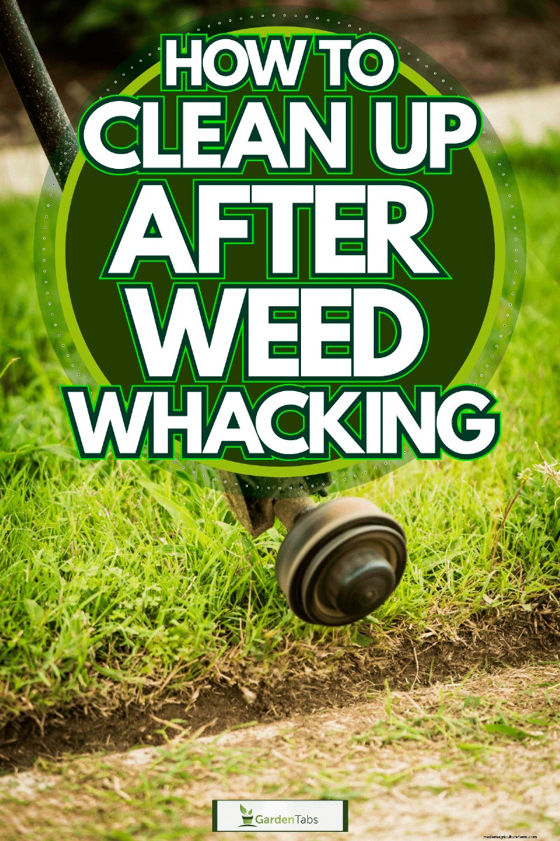 How To Clean Up After Weed Whacking