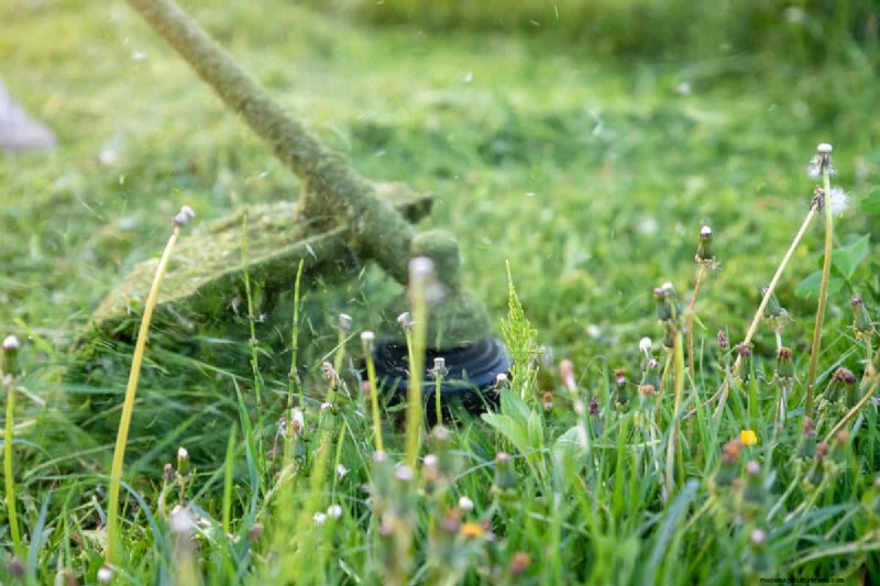 How To Clean Up After Weed Whacking