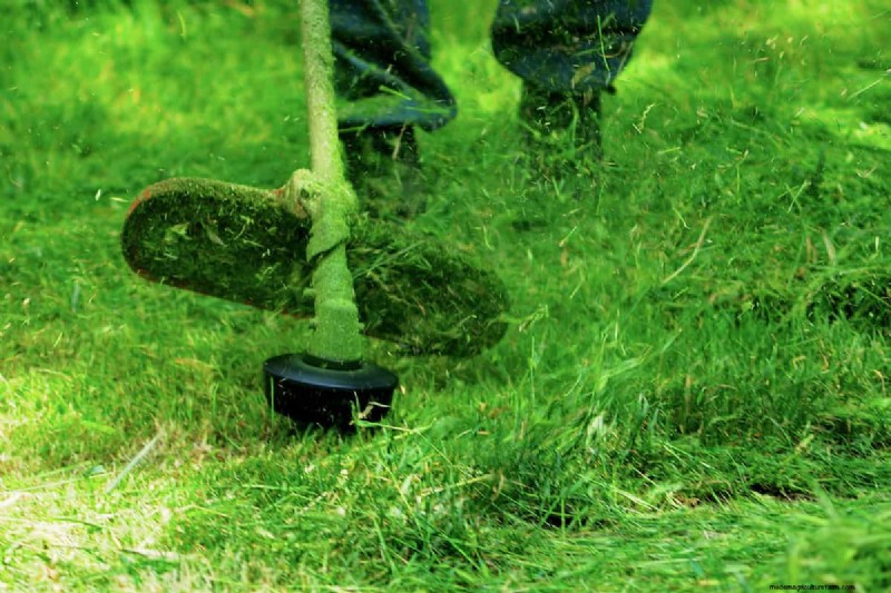 How To Clean Up After Weed Whacking