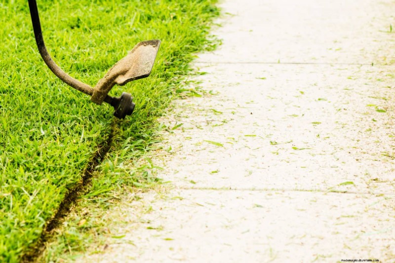 How To Clean Up After Weed Whacking