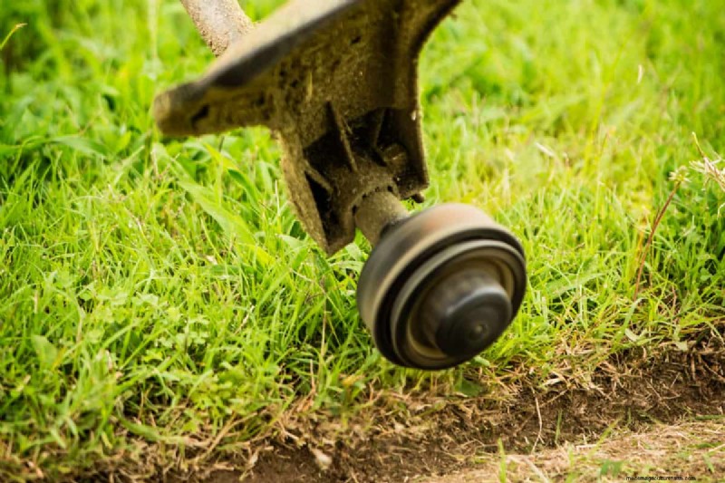 How To Clean Up After Weed Whacking