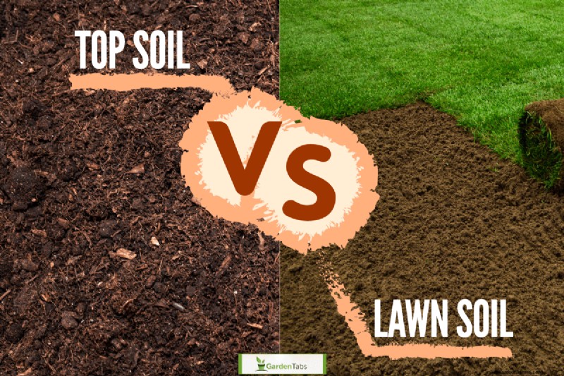 Topsoil Vs. Lawn Soil: What’s The Difference?