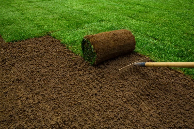 Topsoil Vs. Lawn Soil: What’s The Difference?