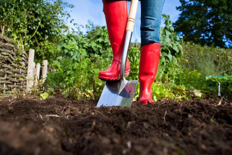 Topsoil Vs. Lawn Soil: What’s The Difference?