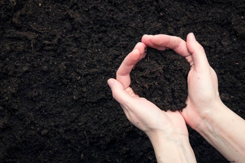 Topsoil Vs. Lawn Soil: What’s The Difference?