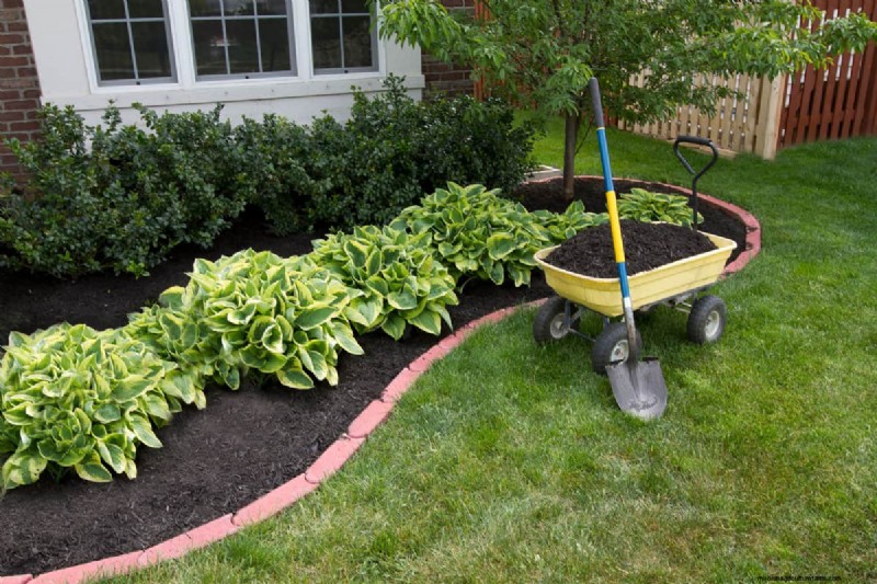 Topsoil Vs. Lawn Soil: What’s The Difference?
