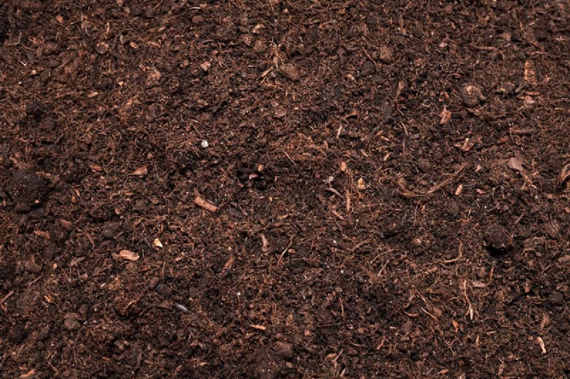 Topsoil Vs. Lawn Soil: What’s The Difference?