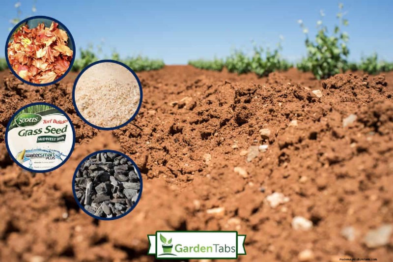 7 Best Fertilizers For Clay Soil