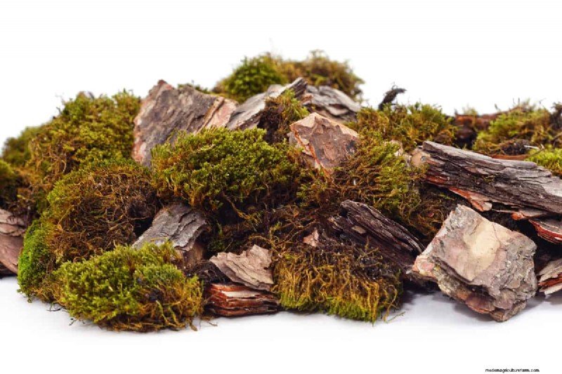 7 Best Fertilizers For Clay Soil