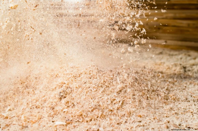 7 Best Fertilizers For Clay Soil