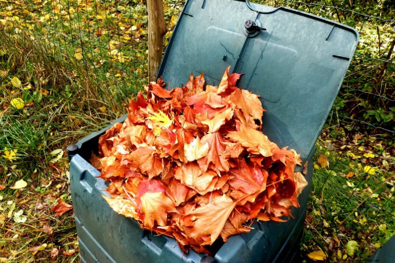 7 Best Fertilizers For Clay Soil