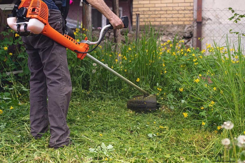 Neighbors Weeds Growing Into My Yard – What To Do?