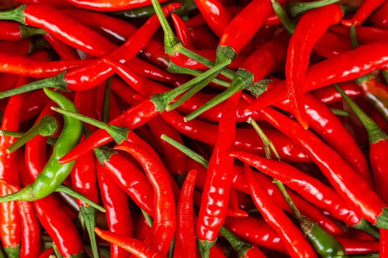 Cayenne Peppers Not Turning Red- What To Do