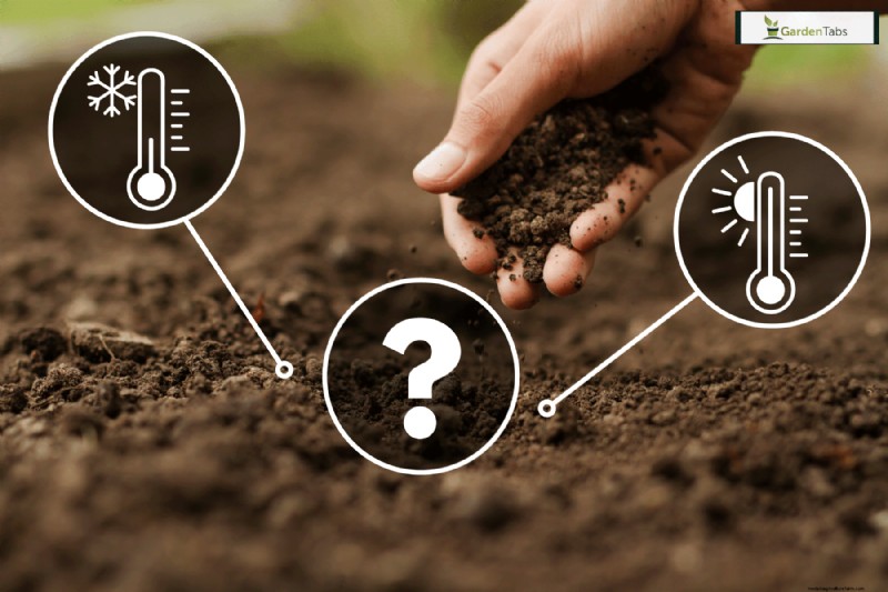 How To Determine Soil Temperature (Even Without A Thermometer )