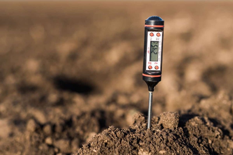 How To Determine Soil Temperature (Even Without A Thermometer )