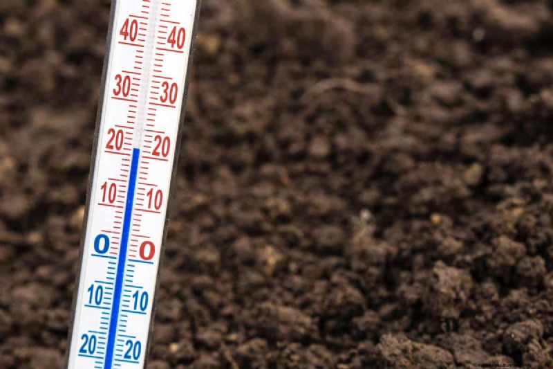 How To Determine Soil Temperature (Even Without A Thermometer )