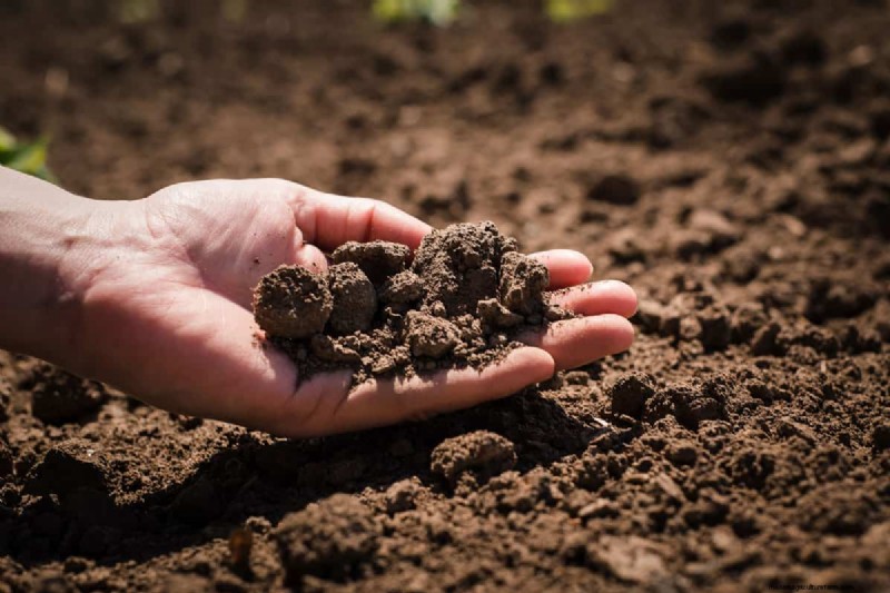 How To Determine Soil Temperature (Even Without A Thermometer )
