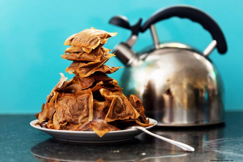 Can You Grow Tea From Tea Bags?